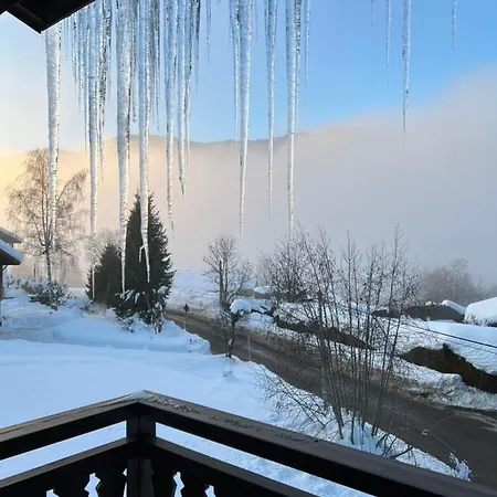 La Résidence De L'ours Megève